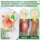 Moringa · Berberina NAD Adesivo Avançado 10 em 1 com Nano Microagulhas (Somente HOJE!)🔥